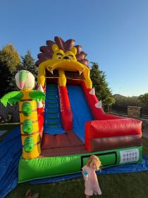 Wynajmę dmuchane zjeżdżalnie dmuchańce dla dzieci