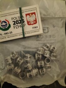 Obrączki dla gołębi