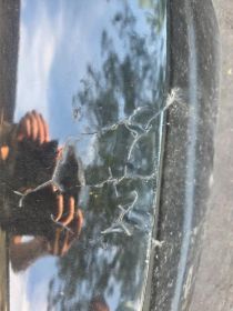 Tylna klapa Renault Clio III