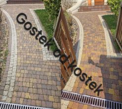 Mycie kostki z odsysaniem błota, odgrzybianie elewacji...