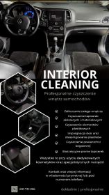 Profesjonalne czyszczenie i detailing wnętrz samochodów