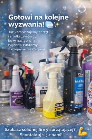 Sprzątanie/mycie okien