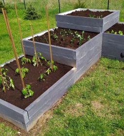 Donice, skrzynie na warzywa