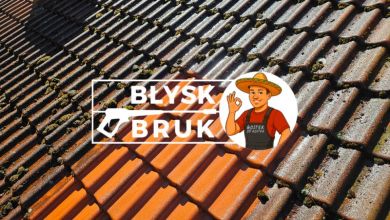 Mycie kostki z odsysaniem błota, odgrzybianie elewacji...