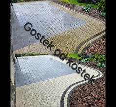 Mycie kostki z odsysaniem błota, odgrzybianie elewacji...