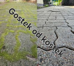 Mycie kostki z odsysaniem błota, odgrzybianie elewacji...
