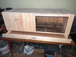 Odchowalnik dla piskląt