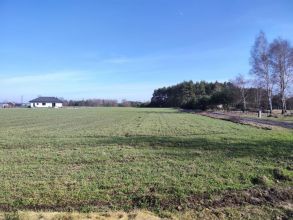 Pilnie Sprzedam dzialke budowlana Stare Prazuchy- powiat...