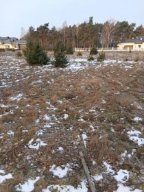 Sprzedam działkę w Turkowicach