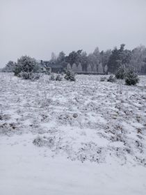 Sprzedam działkę w Turkowicach