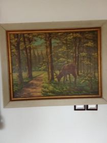 Obraz na płótnie 70x53