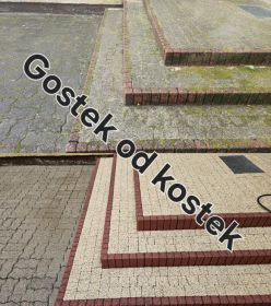 Mycie kostki z odsysaniem błota, odgrzybianie elewacji...