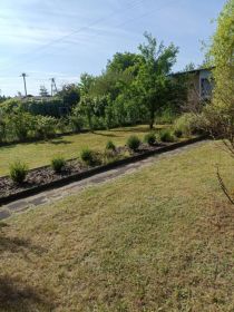 Działka ROD Górnik