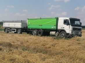 kupię zboże , skup zboża żyto , pszenica, pszenżyto,...