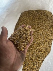 Sprzedam owies i mieszankę po centrali ładne grube ziarno