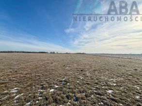 Duża działka w Słodkowie na sprzedaż