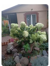 Sprzedam działkę ROD Włókniarz