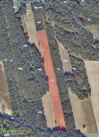 Grunt rolny 2,12 ha w Młodzianowie (gm. Kawęczyn) –...